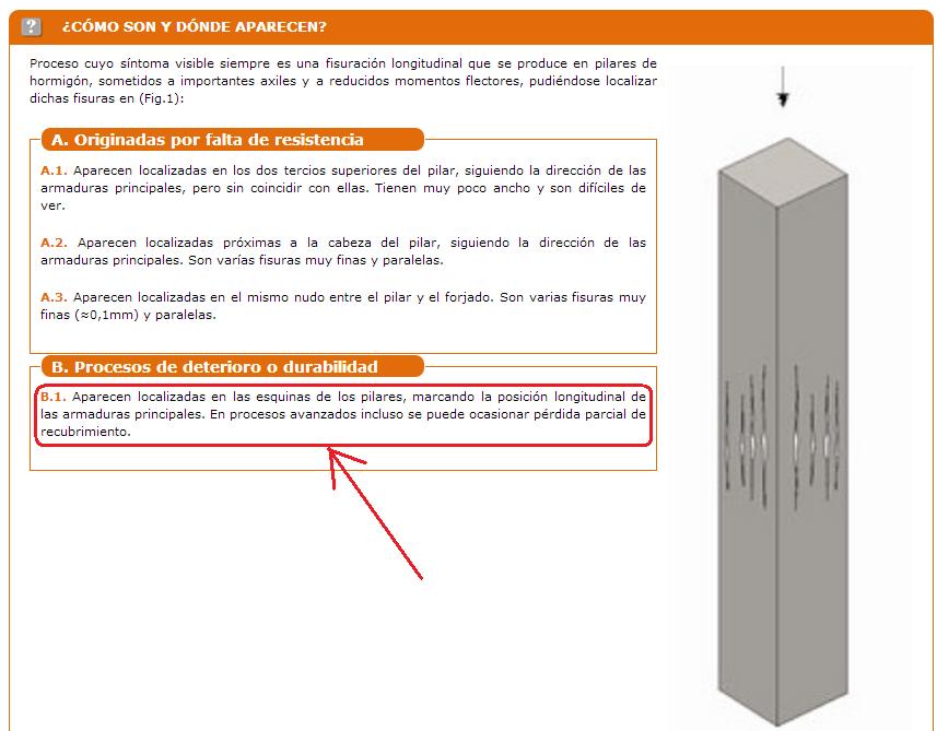 ¿Cómo y dónde aparecen?